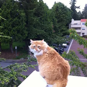 A At The Camelia Bed & Breakfast Tsawwassen
